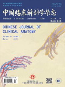 中國(guó)臨床解剖學(xué)
