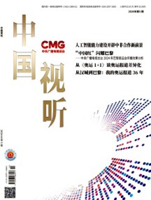 中國視聽